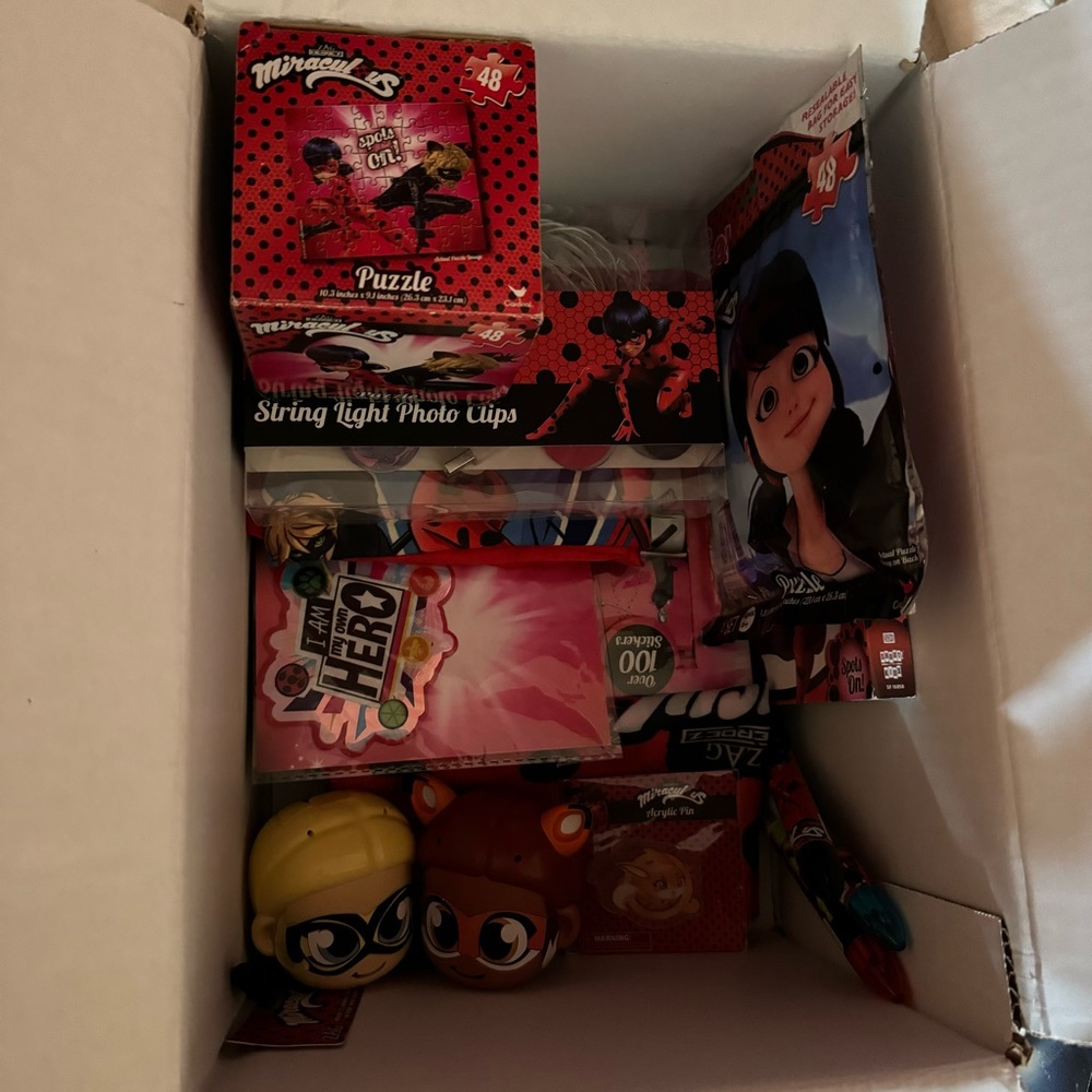 Miraclous Ladybug Bundle